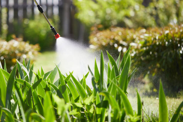 Tamper-Resistant Bait Stations for Rodents in Kiawah Island