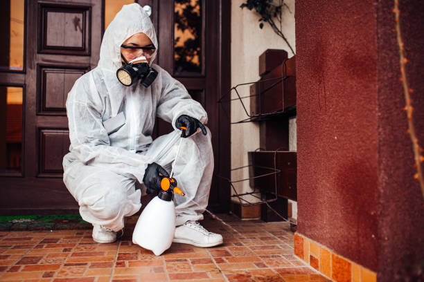 Attic and Crawl Space Rodent Treatment in Kiawah Island