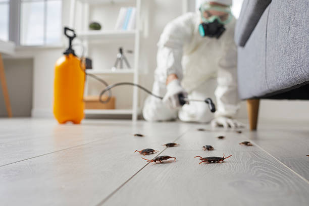 Commercial Rodent Management in Kiawah Island